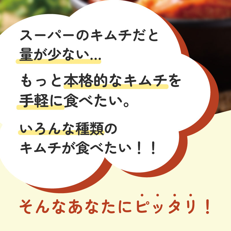 キムチの素(浅漬け用)500g