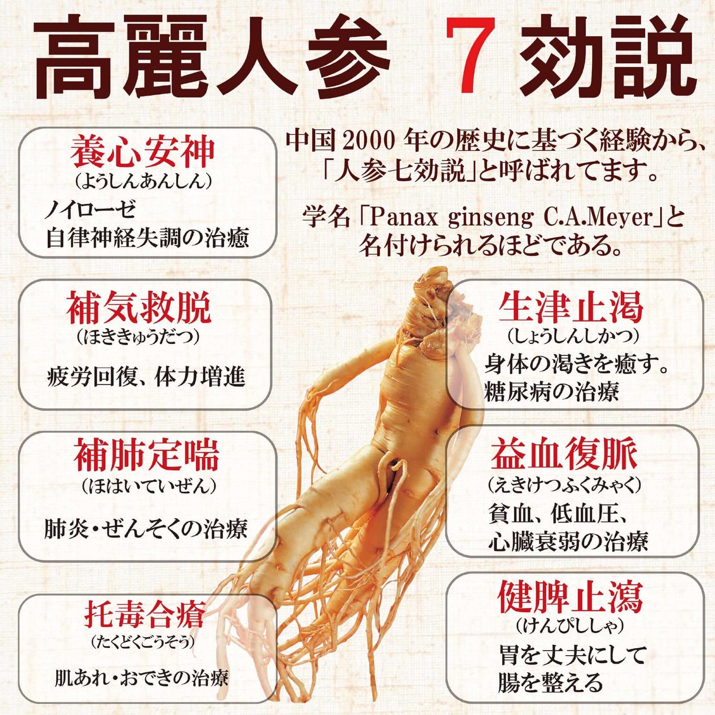 【紅参力】高麗紅参茶GOLD - 韓国惣菜bibim'ネットストア