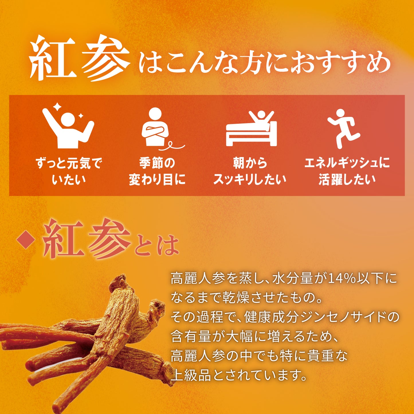 滋養参鶏湯 자양삼계탕 (サムゲタン 1.3kg 2~3人前) 【無添加・高麗人参・栗・なつめ入り】