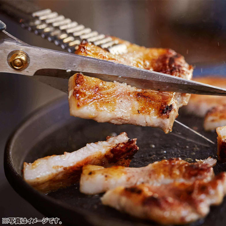 韓国料理 通販 熟成サムギョプサル