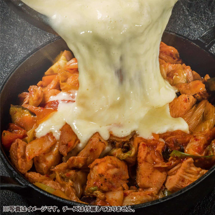 韓国料理 通販 春川タッカルビ