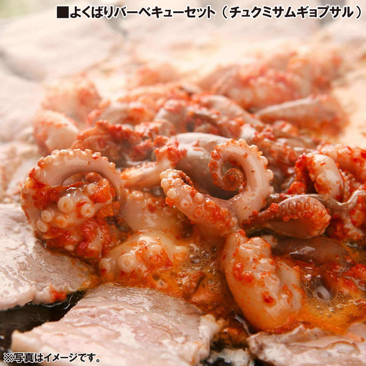 韓国料理 通販 豚カルビ 熟成サムギョプサル チュクミサムギョプサル セット