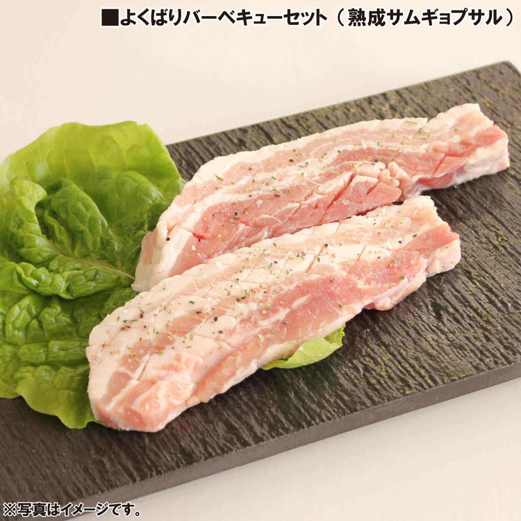 韓国料理 通販 豚カルビ 熟成サムギョプサル チュクミサムギョプサル セット