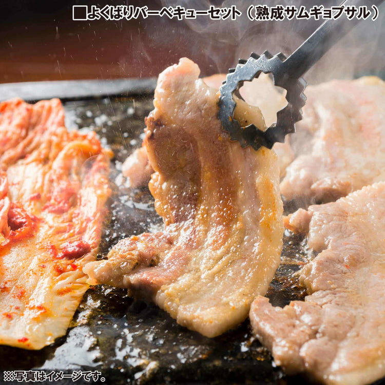 韓国料理 通販 豚カルビ 熟成サムギョプサル チュクミサムギョプサル セット